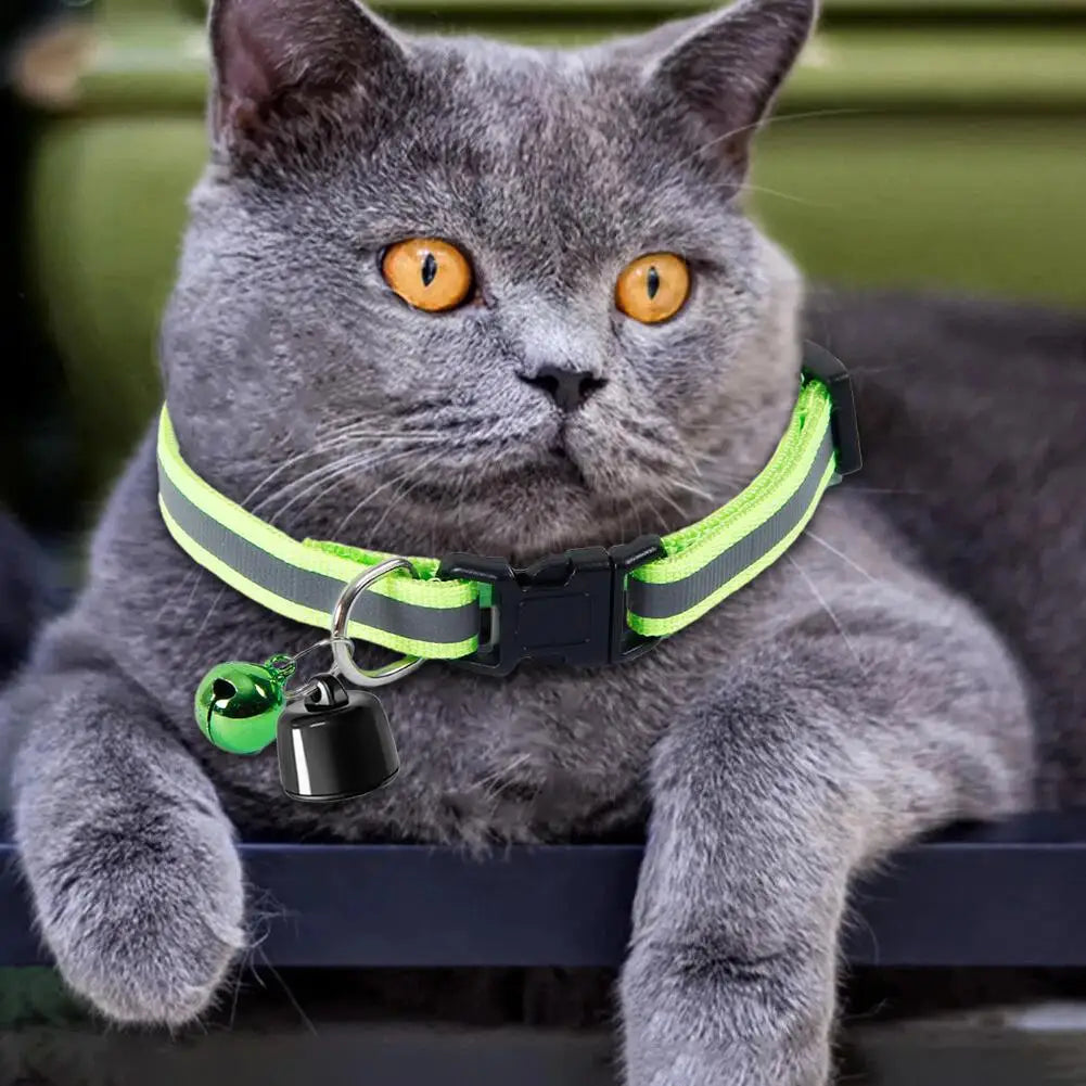 Mini GPS Tracker for Pets