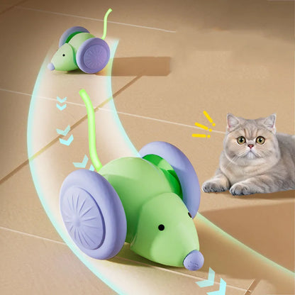 Electric Mouse Car Cat Toy
