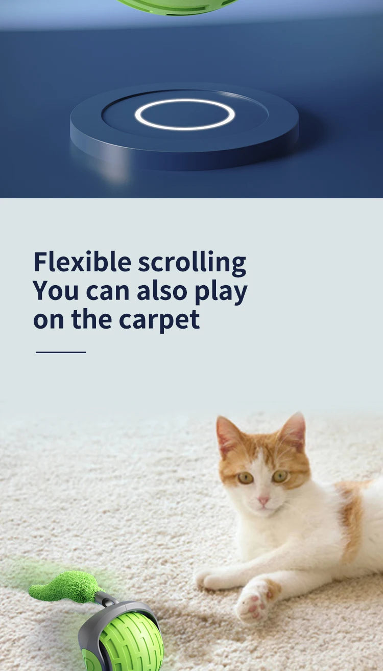 Interactive Electric Cat Ball Toy