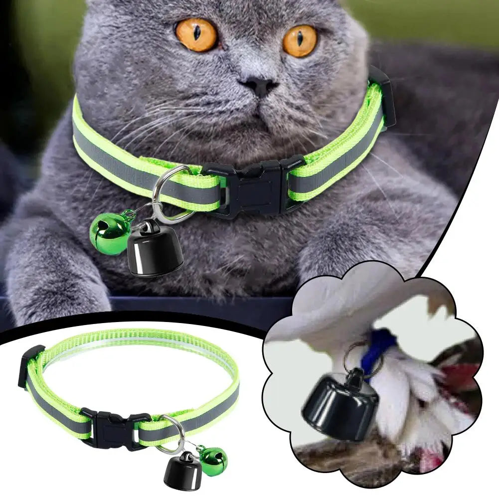 Mini GPS Tracker for Pets