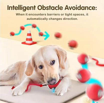 Rechargeable Cat Training Ball Toy