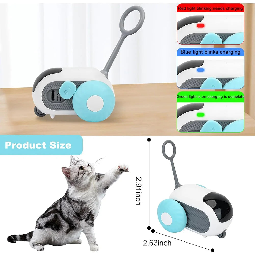 Remote Control Interactive Cat Toy