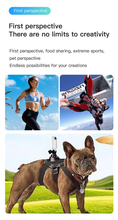 Dog Collar Camera - Action Cam