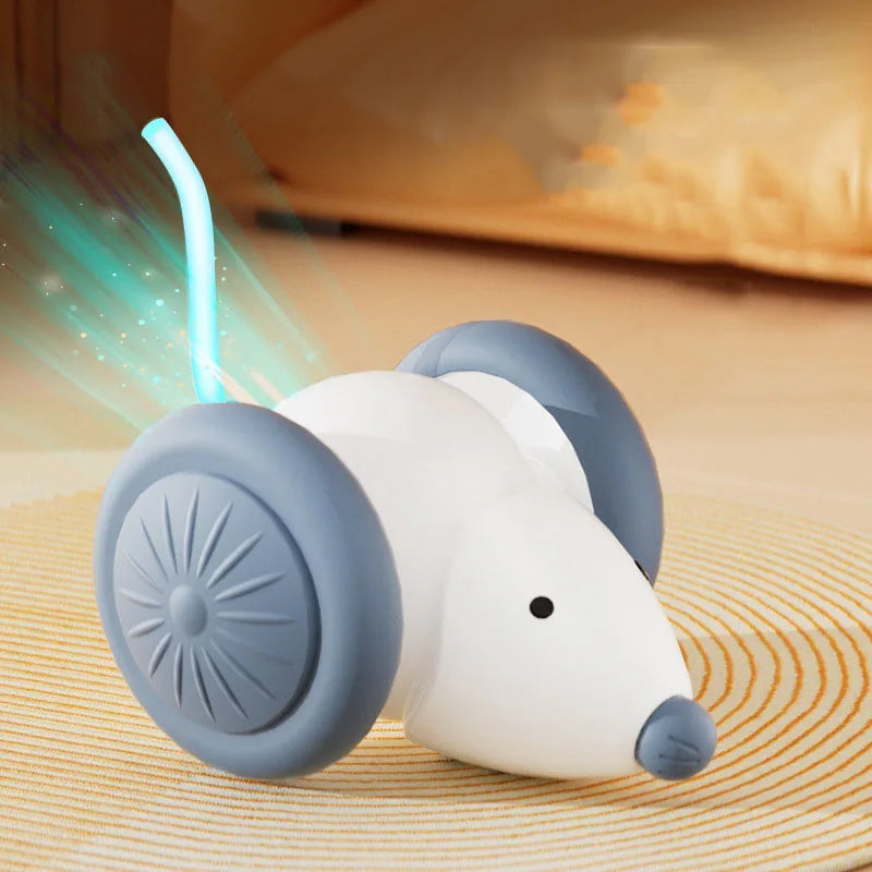 Electric Mouse Car Cat Toy