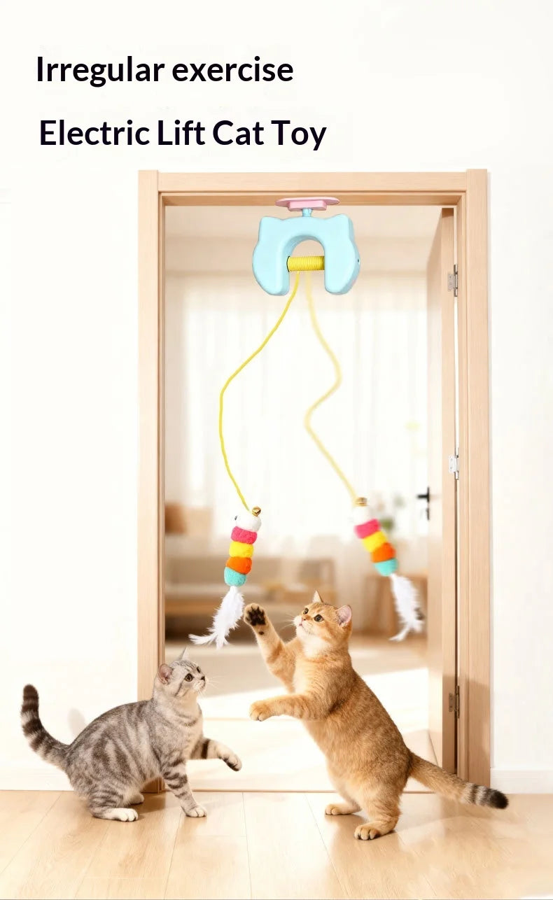 Electric Hanging Door Cat Toy