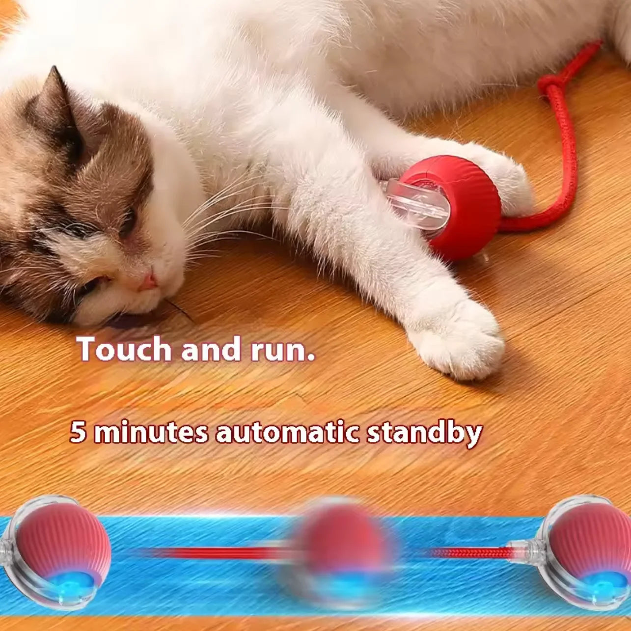 Rechargeable Cat Training Ball Toy