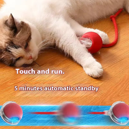 Rechargeable Cat Training Ball Toy