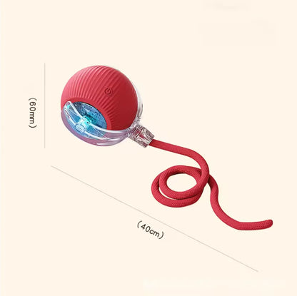 Rechargeable Cat Training Ball Toy