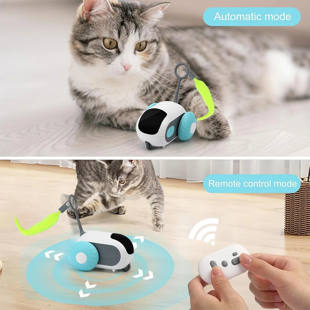 Remote Control Interactive Cat Toy