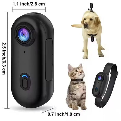 Dog Collar Camera - Action Cam