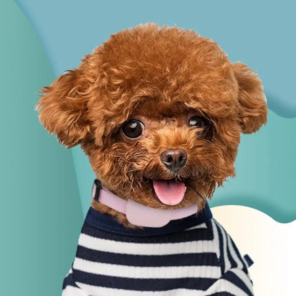 Waterproof GPS Pet Tracker Collar