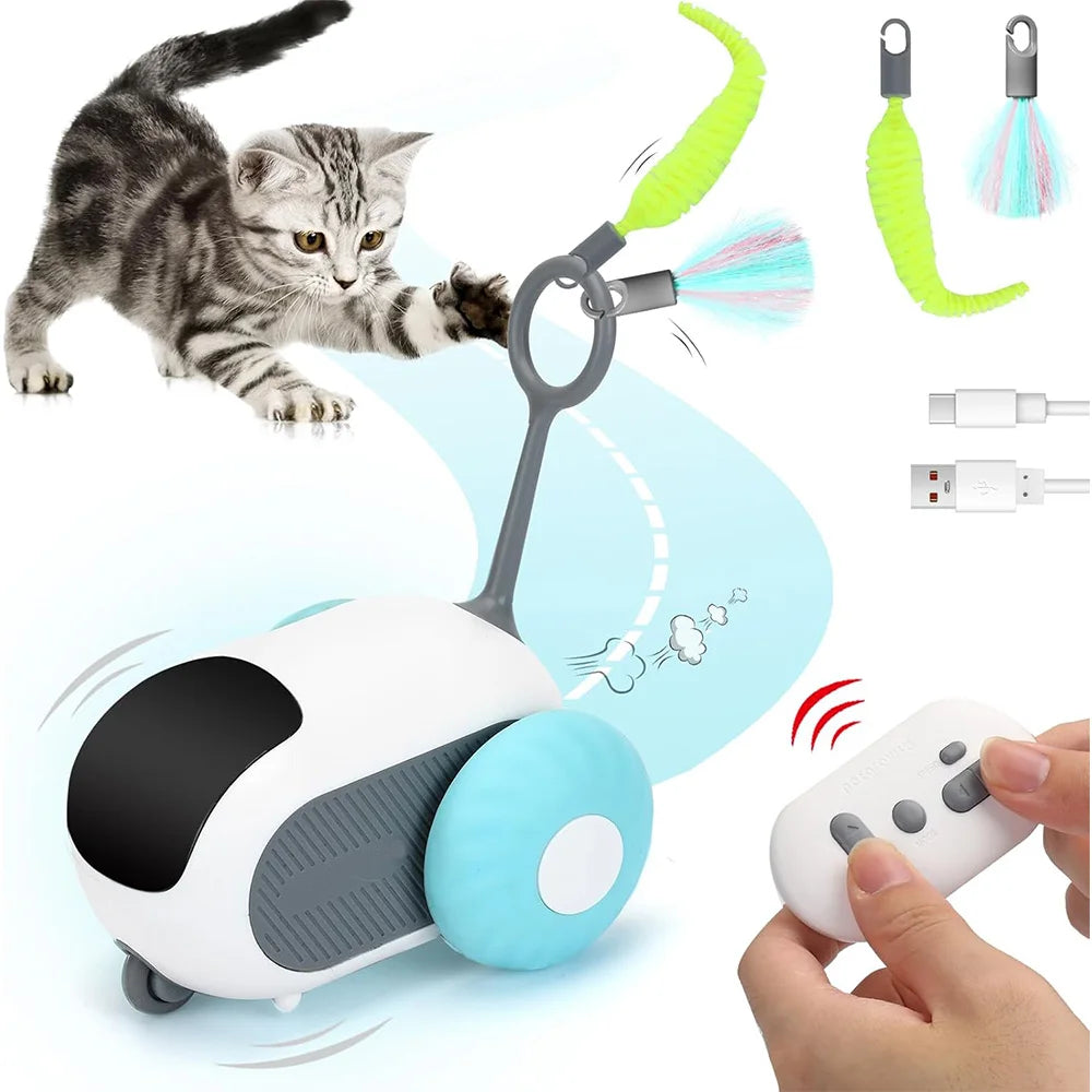 Remote Control Interactive Cat Toy