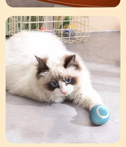 Self-Rolling Electric Cat Ball