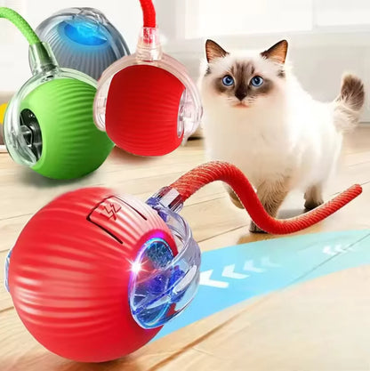 Rechargeable Cat Training Ball Toy