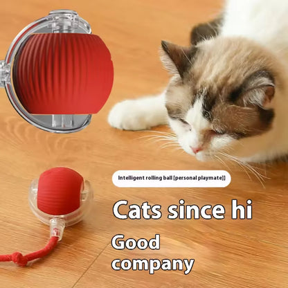 Rechargeable Cat Training Ball Toy