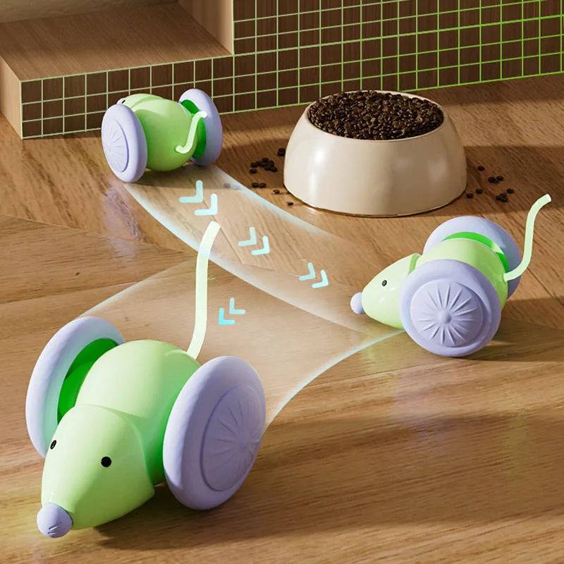 Electric Mouse Car Cat Toy