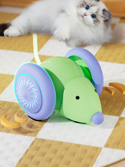Electric Mouse Car Cat Toy