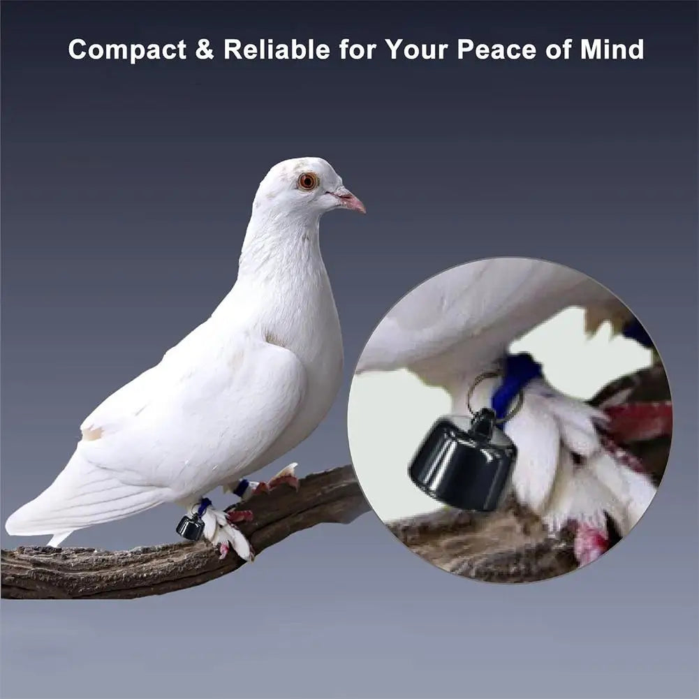 Mini GPS Tracker for Pets