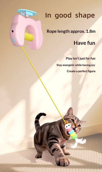 Electric Hanging Door Cat Toy