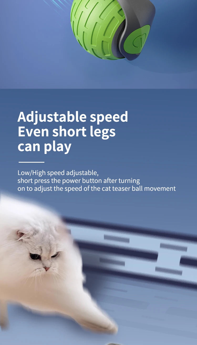 Interactive Electric Cat Ball Toy