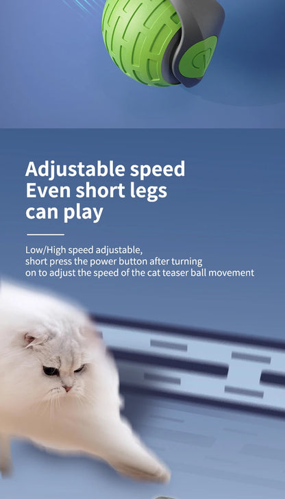 Interactive Electric Cat Ball Toy