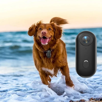 Dog Collar Camera - Action Cam