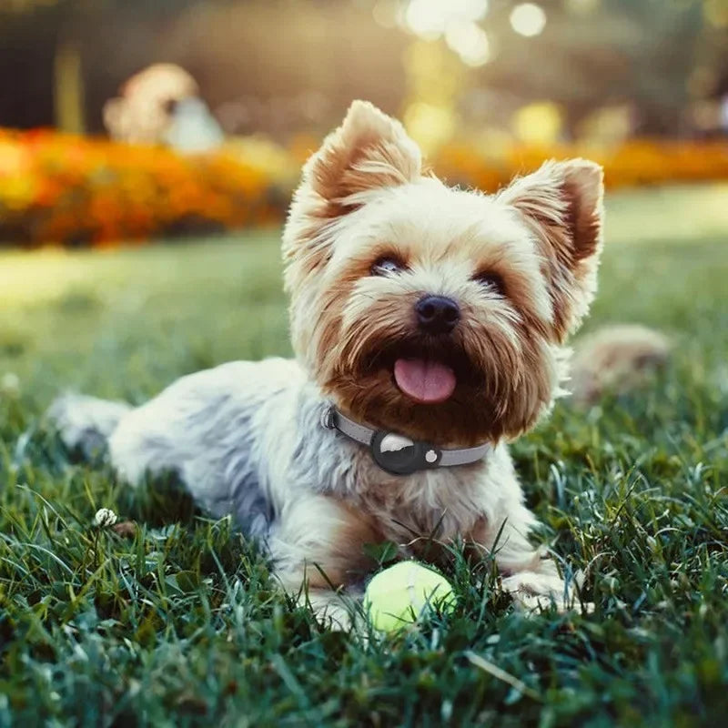 AirTag Pet Tracker Collar