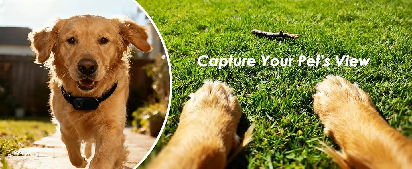 Dog Collar Camera - Action Cam