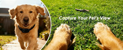 Dog Collar Camera - Action Cam