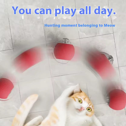Rechargeable Cat Training Ball Toy